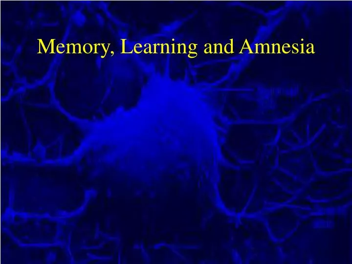 memory learning and amnesia