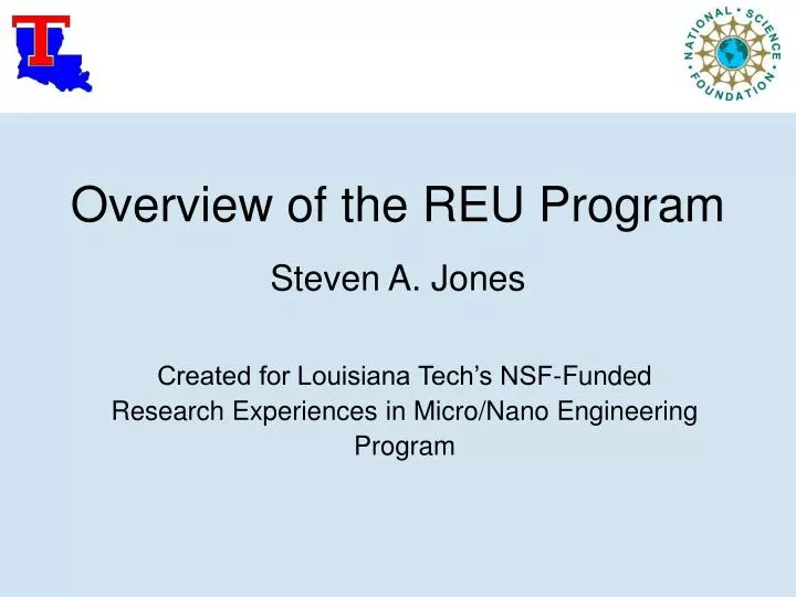 overview of the reu program