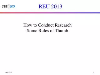 REU 2013