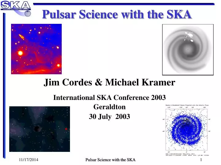 pulsar science with the ska