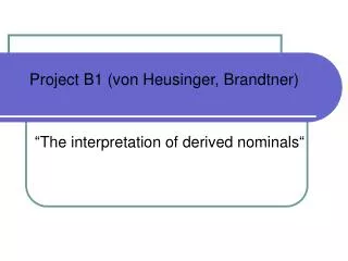 Project B1 (von Heusinger, Brandtner)