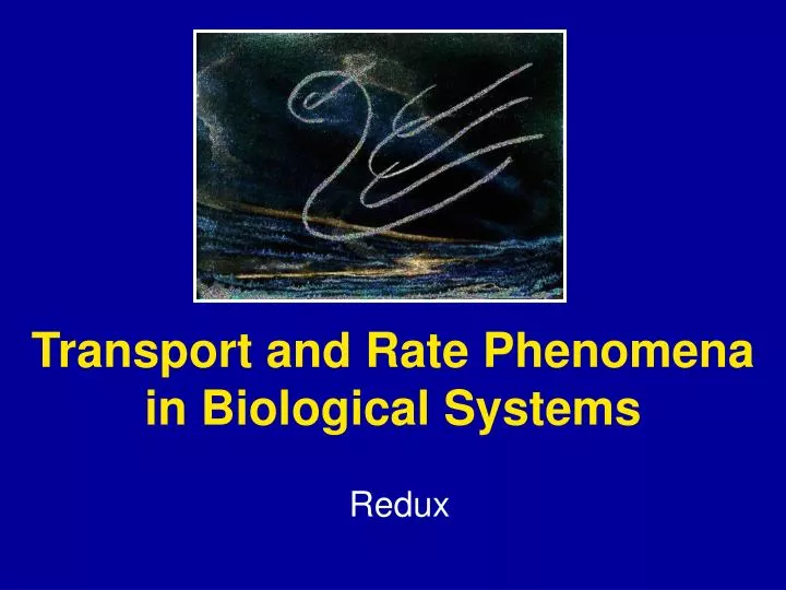 transport and rate phenomena in biological systems