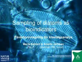 Sampling of diatoms as bioindicators
