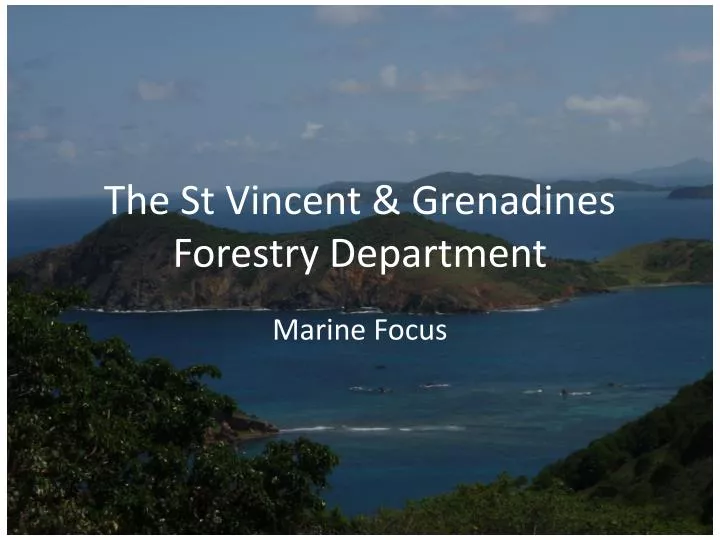 the st vincent grenadines forestry department