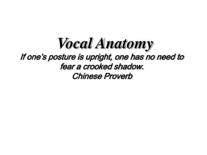 vocal anatomy if one s posture is upright one has no need to fear a crooked shadow chinese proverb