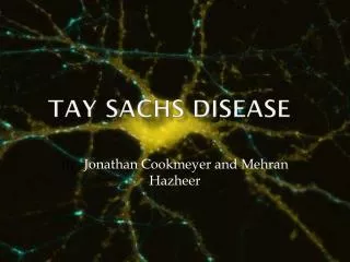 Tay Sachs Disease