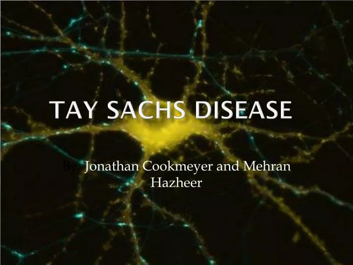 tay sachs disease