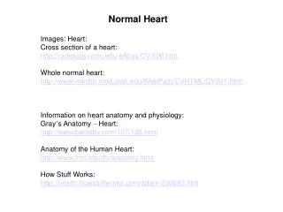 Normal Heart