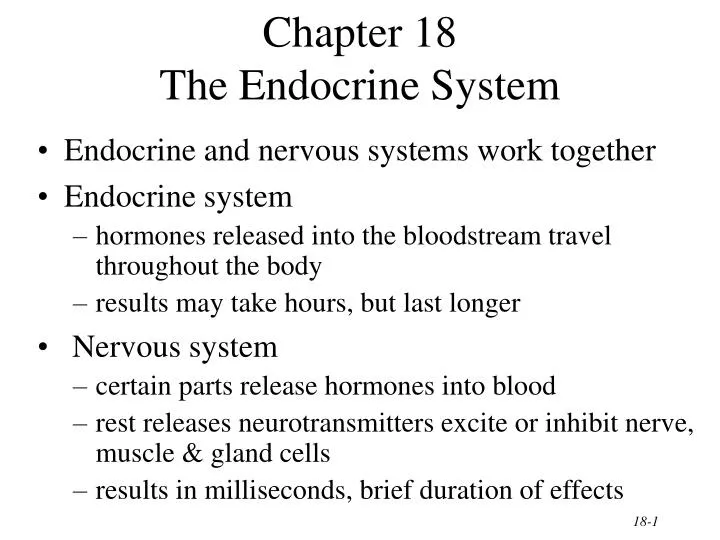 chapter 18 the endocrine system