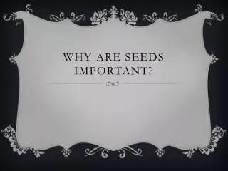 Why are seeds important?