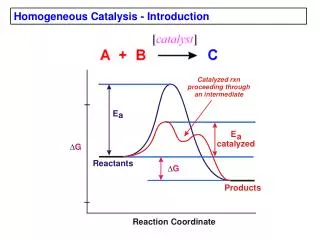 Homogeneous Catalysis - Introduction