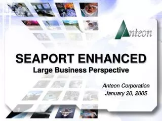 SEAPORT ENHANCED Large Business Perspective