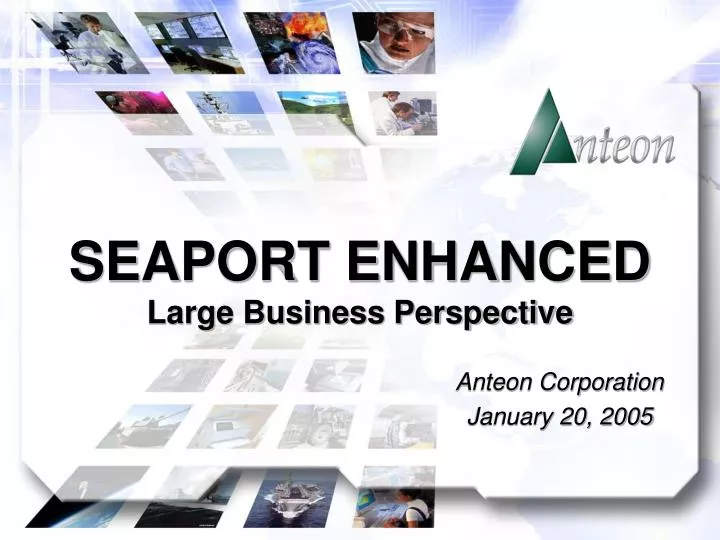 seaport enhanced large business perspective