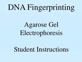 DNA Fingerprinting Agarose Gel Electrophoresis Student Instructions