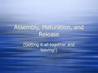 Assembly, Maturation, and Release