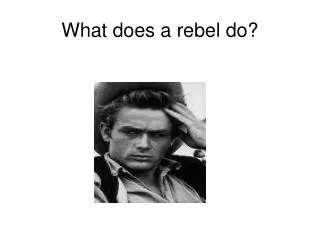 what does a rebel do