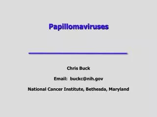 Papillomaviruses