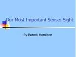 Our Most Important Sense: Sight - slide 1