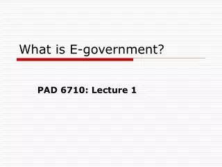 What is E-government?