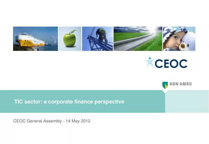 tic sector a corporate finance perspective