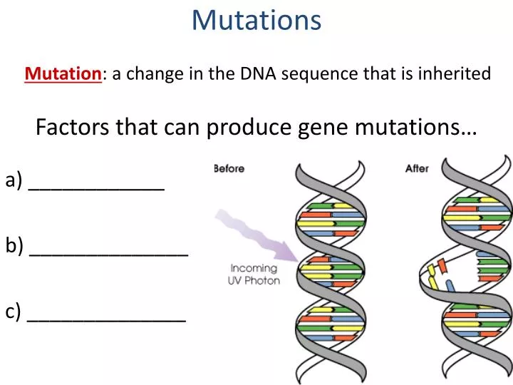 factors that can produce gene mutations