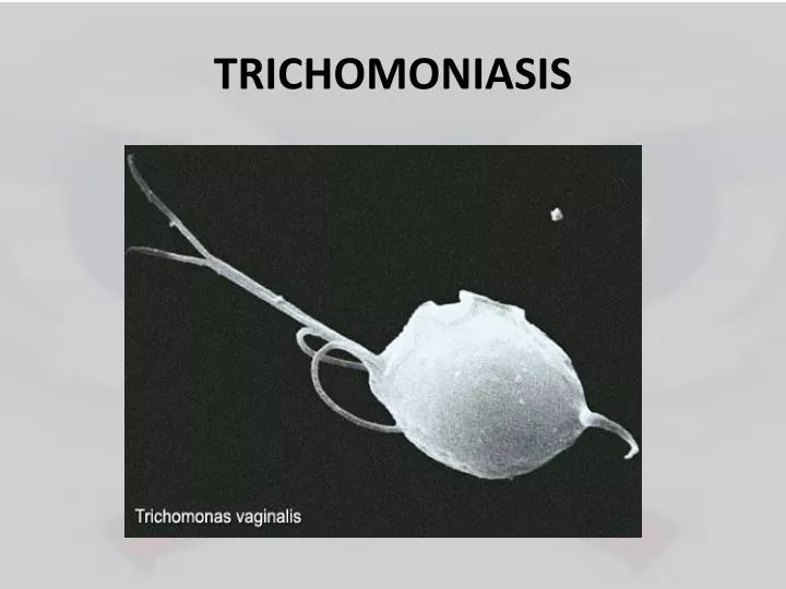 trichomoniasis