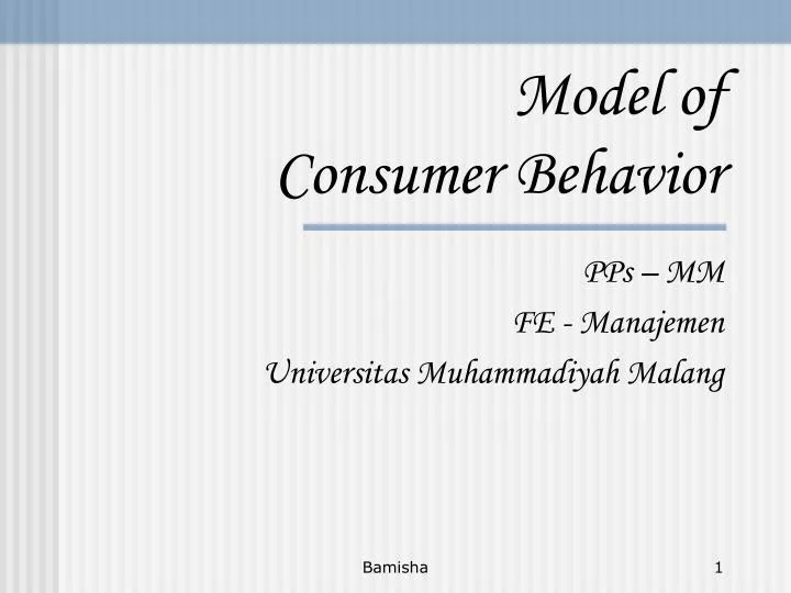 model of consumer behavior