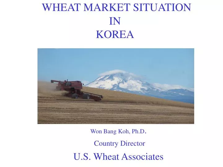 wheat market situation in korea