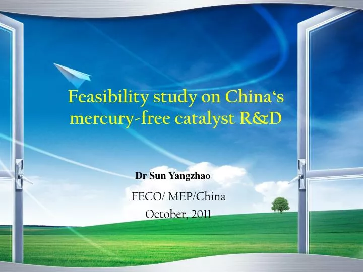 feasibility study on china s mercury free catalyst r d