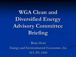 WGA Clean and Diversified Energy Advisory Committee Briefing