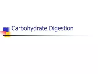 Carbohydrate Digestion