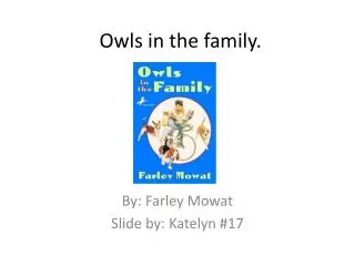 Owls in the family.