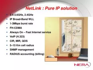 NetLink : Pure IP solution