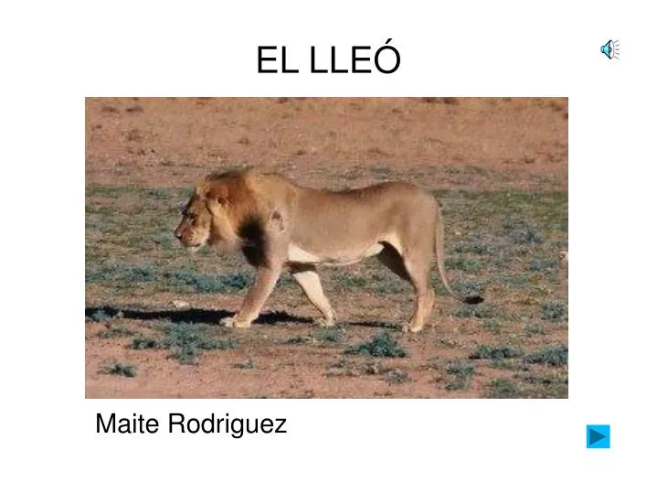 el lle