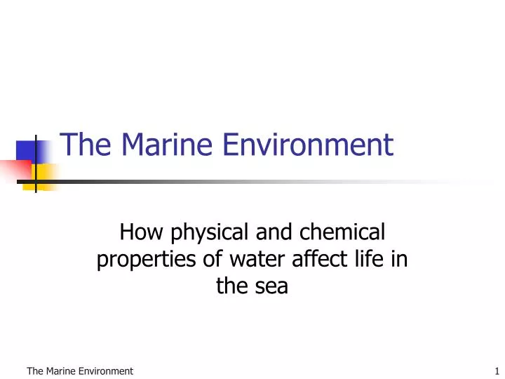 the marine environment