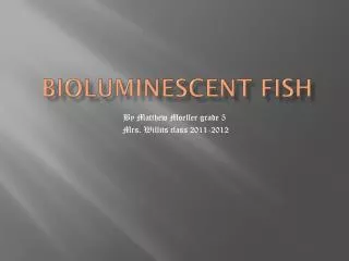 Bioluminescent fish