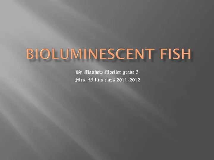 bioluminescent fish