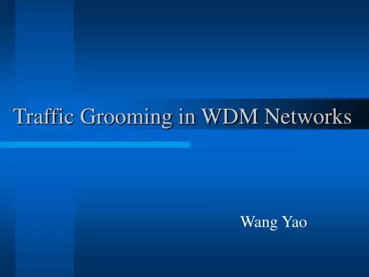 traffic grooming in wdm networks