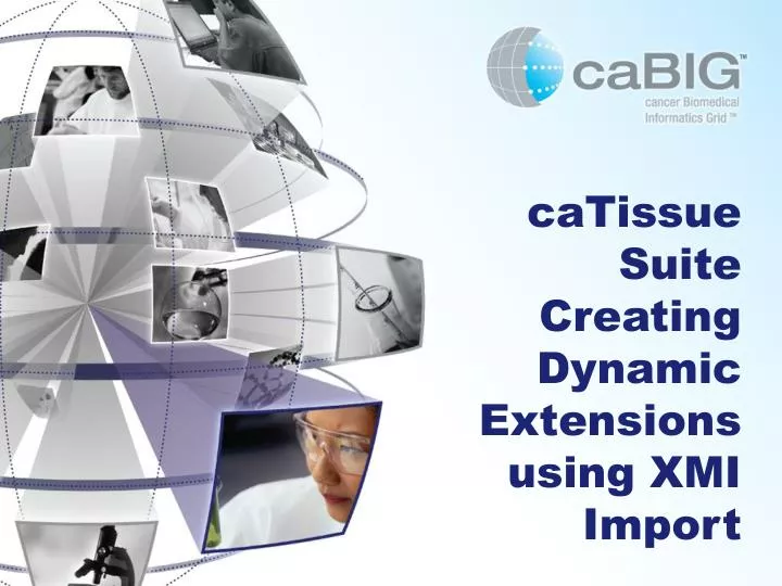 catissue suite creating dynamic extensions using xmi import