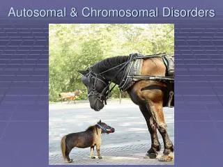 Autosomal &amp; Chromosomal Disorders