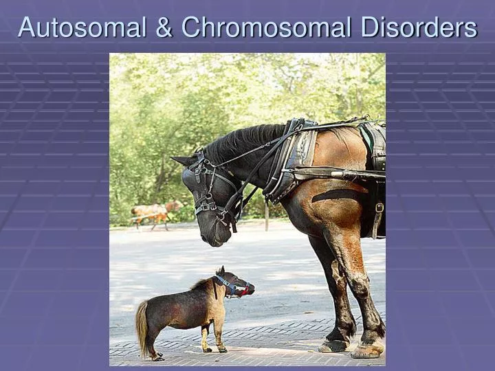 autosomal chromosomal disorders