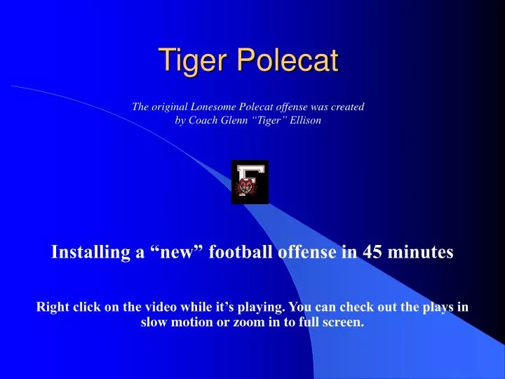 tiger polecat