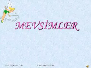 mevs mler