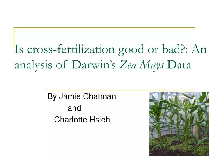is cross fertilization good or bad an analysis of darwin s zea mays data