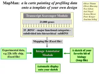 MapMan: a la carte painting of profiling data onto a template of your own design