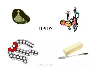 LIPIDS