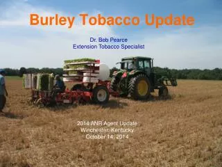 Burley Tobacco Update