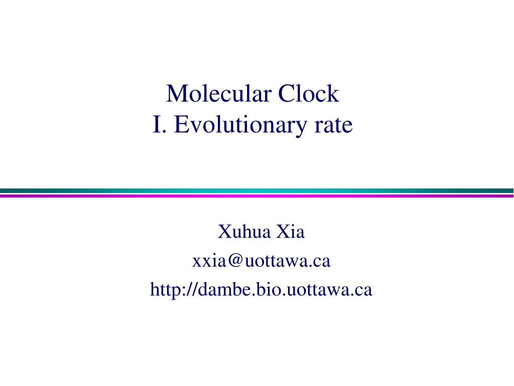 PPT - Molecular Clock I. Evolutionary rate PowerPoint Presentation ...