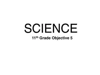11 th Grade Objective 5