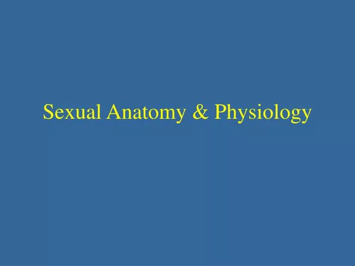 sexual anatomy physiology